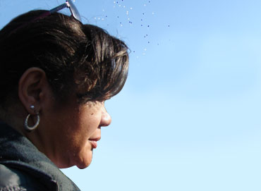 Que-es-la-violencia-domestica